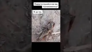 пацан впервые увидел медведку 😂😂😂 