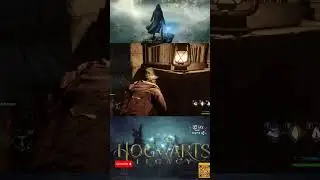 Hogwarts Legacy Misi Menyelamatkan Burung Terbang eps1 #hogwartslegacy #harrypotter #hogwartslegacy
