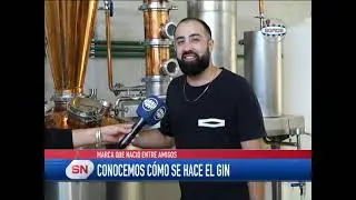 LA PRODUCCI&Oacute;N DEL GIN, LA BEBIDA ESPIRITUOSA