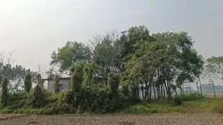 প্রকৃতির অপূর্ব মাতৃ ছায়া