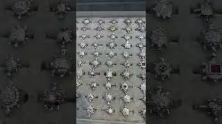 TURTLE RINGS 925 STERLING