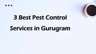 3 Best Pest control services in Gurugram, Haryana 2024 | Pest management services