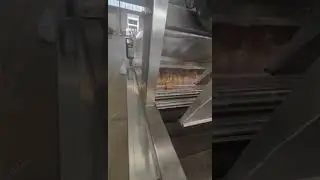 fruit waxing machine