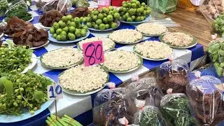 Wild Food, Red Ant Eggs, Mekong River Fish | Local Fresh Market In Sakon Nakhon | Thailand 2022