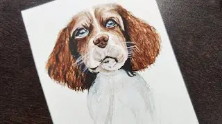 How to Make Cute Dog | Water Color Tutorial | Color Pool | Step by Step for beginners