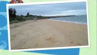 Поиск на пляже: &laquo;Монеты и кольцо&raquo;