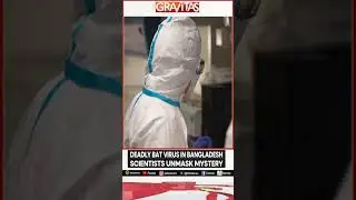 Scientists Discover a New Bat-borne Virus Infecting Humans in Bangladesh | GRAVITAS