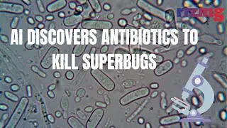 Power of AI: Scientists Discover New Antibiotic That Obliterates Superbugs | Rizing Tech | Rizing