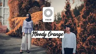 Tutorial Edit Foto Ala Selebgram MOODY ORANGE TONE di VSCO