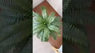 Before vs After: This fake tree changed the whole vibe 🔥🌳（VN141）