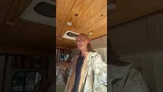 Кто-нибудь, научите Тима искусству минимализма #жизньвфургоне #кемпинг