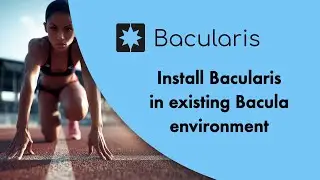 Bacularis - install Bacularis in existing Bacula environment