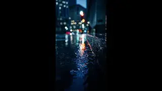 CityScape Video