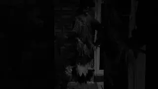 Scary Scarecrow watch til the end! #halloween #october #trending #jumpscare #funny