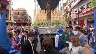 Plaza de la Campana | Hermandad de la Hiniesta (Domingo de Ramos) 2025