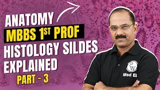 Anatomy | MBBS 1st Prof | Histology Slides Explained Part 3 | By Dr. Pradeep Pawar #anatomy #pwmeded
