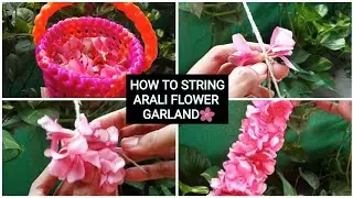 அரலி பூவில் மாலை கட்டுவது எப்படி|HOW TO STRING ARALI POO GARLAND FOR BEGINNERS|OLEANDER FLOWER