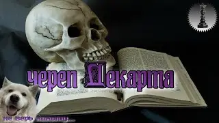 Рене ДЕКАРТ.Посмертные приключения черепа философа.
