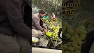 Fresh Amrood&hellip; #youtubeshorts #shortsfeed #ytshorts