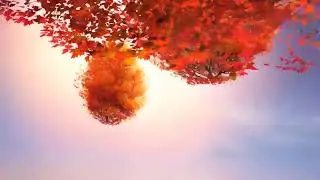 Autumn Anime Chill 🍂 Lo-fi Leaf Beat