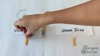 pH of Lemon Juice: Is Lemon Juice Acidic or Alkaline?