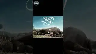 sumitra bhave / सुमित्रा भावे Movie recommendations by shubham ep 2