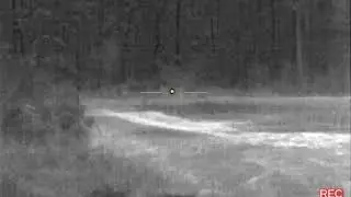 FLIR Pro PTS233 225 Yards