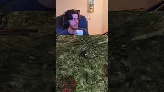 Столько путаницы 😂 #darksouls2 #viral #shorts #fyp #darksoulsscholarofthefristsin #shortsviral