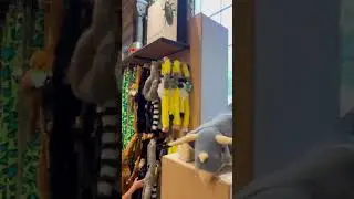 Shop in Natural History Museum London