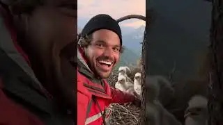 Creator Gone Wild - 