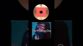 The Winking Owl - Into Another World #TheWinkingOwl #IntoAnotherWorld #NowWhat #MusicSectionPH