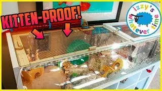 We need to KITTEN-PROOF Happy the Hamster's MEGA MANSION
