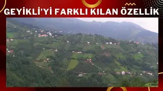 GEYİKLİ'Yİ FARKLI KILAN BAZI ÖZELLİKLER