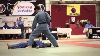Final Don Chan - BELGIUM VS FRANCE - 9th Vovinam European Cup, Liege 2016 (HD)
