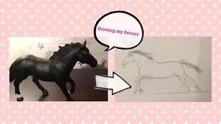 Drawing my schleich horses( or trying too😂)