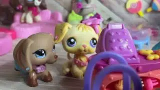 #CRUSH PAW PAW HIGH | New series ep 4