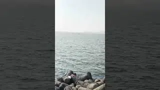 #marinelines