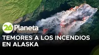 &iquest;Incendios en Alaska? El cambio clim&aacute;tico despierta temores