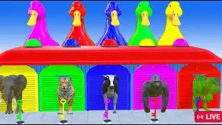 LongSlideGame#AnimalSlide#Panda #Elephant #Gorilla #Giraffe #Lion #Tiger#SlideChallenge#AnimalRace
