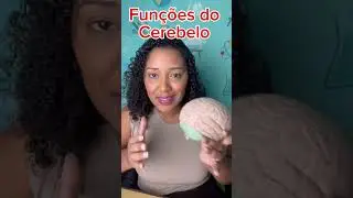 Cerebelo: quais fun&ccedil;&otilde;es?