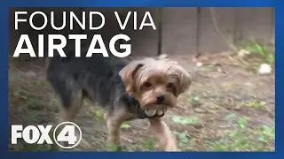 Apple AirTag helps locate lost dog