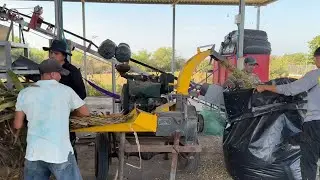 Empezamos a hacer el cilo para las vacas