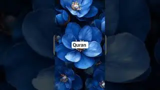 QURAN TRANSLATION IN URDU #quran #love #holyquran