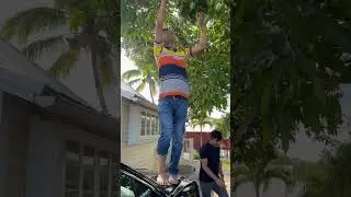 Getting mangos from roadside tree at Florida🥭😍