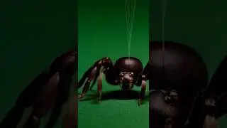 Jumpscare spider green screen