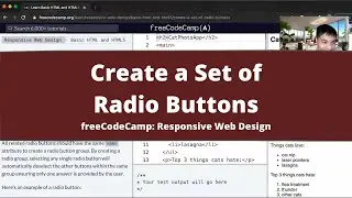 Create a Set of Radio Buttons (Basic HTML and HTML5) freeCodeCamp tutorial