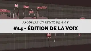 Produire un remix de A à Z -#14- Retouche de la voix (FlexTime, Pitch - Corriger les fausses notes)