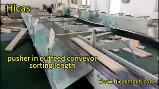 Hicas optimizing cross cut saw with automatic scanner