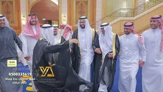 فيديو زواج اسامة المسعري قاعة الهيلتون جدة تصوير يحيى عرفات 0500335619 استديو التميز جدة