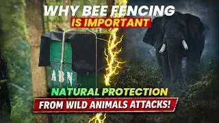 Why Bee Fencing Is Important | Natural Protection from Wild Animals Attacks